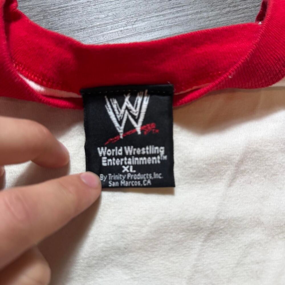 Wwe Men's multi T-shirt